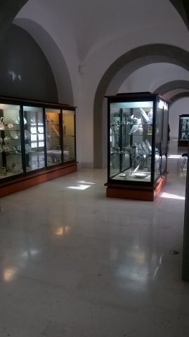 Museo Duca Martina